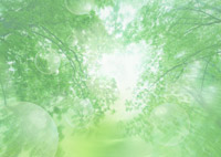 ���������������Ƃ́H