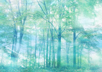 �u�������v�𖾂̗��j