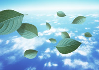 �{�i�I�Ȑl�H����������