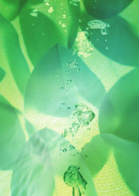 �A���̌�������2�i�K