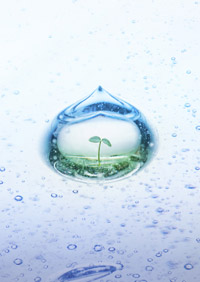 �u�l�H�������v��3�̌���