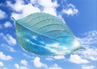 �A���̃N�����t�B���̎d�g�݂�͕킷��