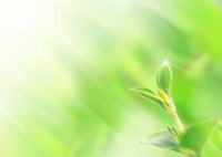 �u���G�}�v�̌���