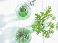 ���s����w�l�H�����������Z���^�[