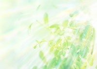 ��s��w����