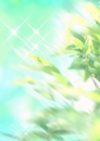 �ă��[�����X�E�o�[�N���[����������